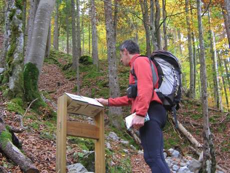 Sentier découverte du vallon de Bellevaux