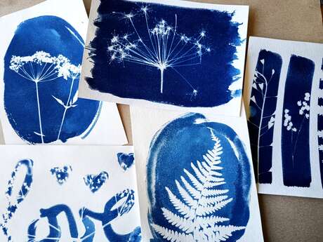 Atelier cyanotype