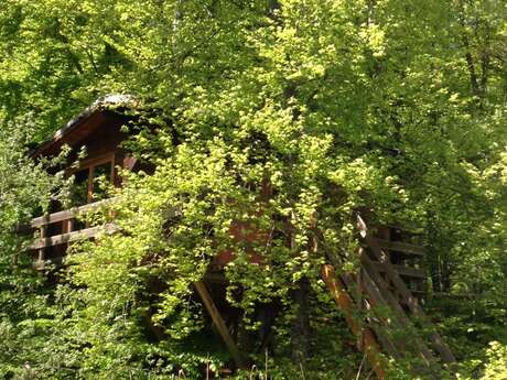 La Cabane dans les arbres