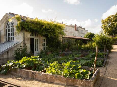 Guided tour: plants and gardens