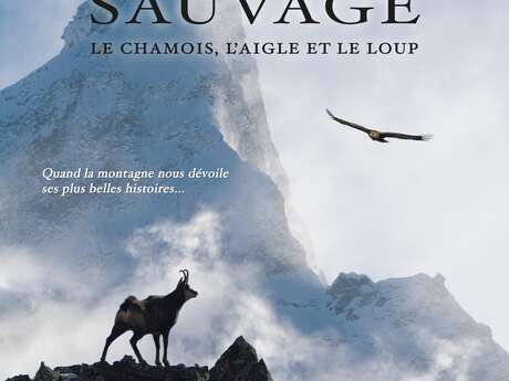 Sauvage, le Chamois, l’Aigle et le Loup Sauvage, le Chamois, l’Aigle et le Loup