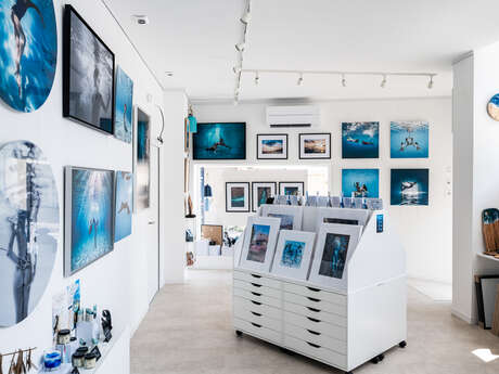 AQUA Galerie