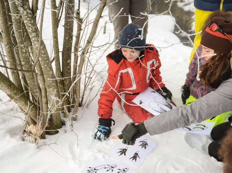 Family activity: Animal tracks and clues