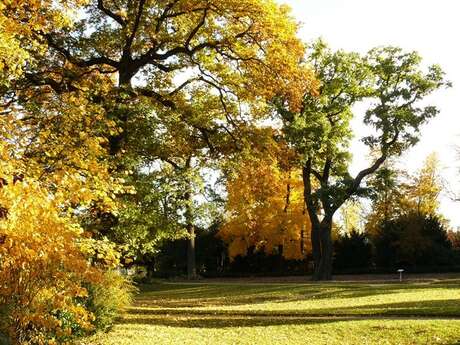 Un circuit royal en forêt de Saint-Germain !