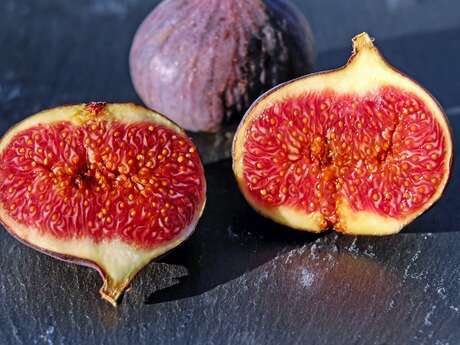 Les terres du mouton