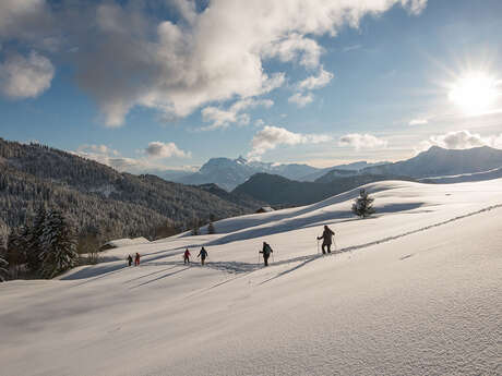 1/2 journée en raquettes à la découverte des plus beaux panoramas de montagne