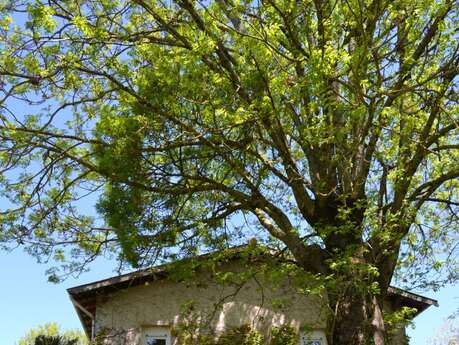 Petit Gîte du Domaine