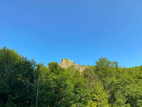 Marche des rossignols