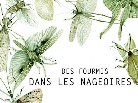 Spectacle petite enfance « Des fourmis dans les nageoires », Cie La tête en l’herbe