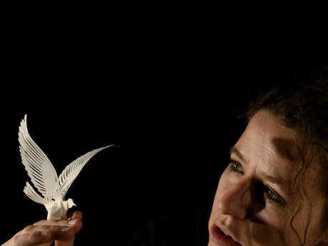 Théâtre en famille - La légende de la 3e colombe