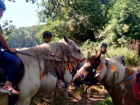 Sur la piste des Indiens