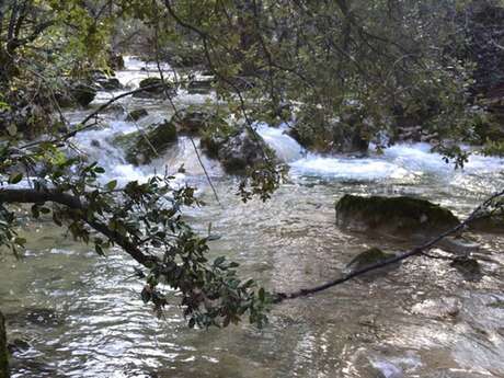 NANS-LES-PINS - L'Huveaune