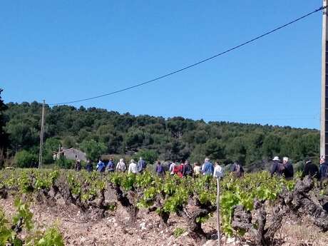 Fête de la vigne et du vin