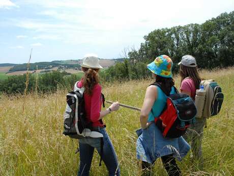 Hiking in Lomagne