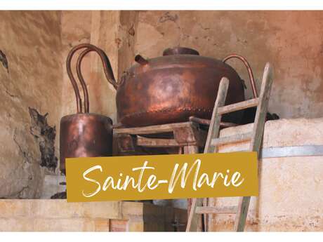 Geführte Besichtigung des Dorfes Sainte-Marie-de-Ré