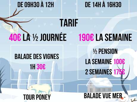 Winter vacations at the Cibonne stables