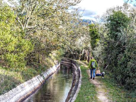 Une visite qui a du chien - Crapahutez le long du canal - Grasse... Le 22 juin 2024