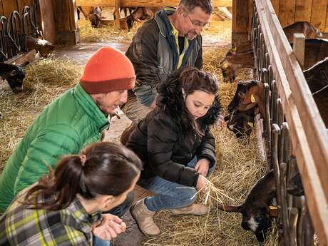 Vesonne Goat Farm