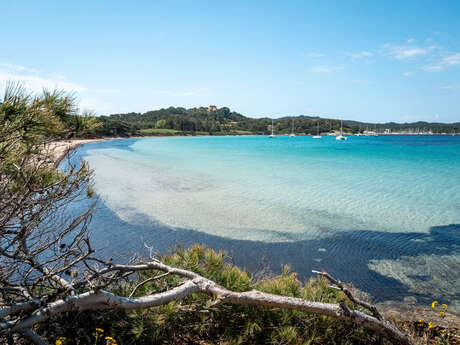 Plage de la Courtade