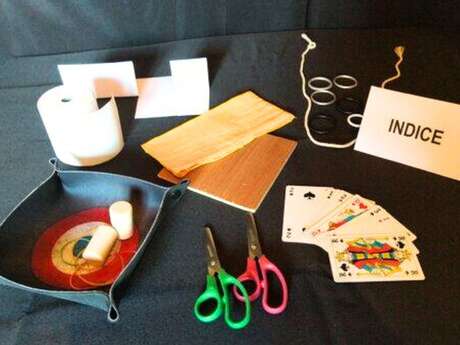 Science Festival: Magic, Reasoning and Critical Mind