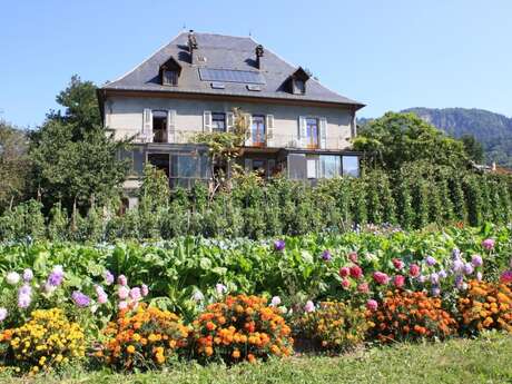 Gîte des Rapilles : "Le nid"