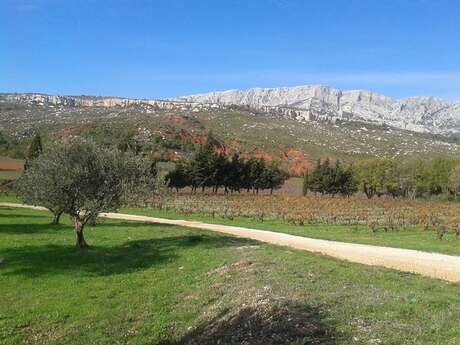 Excursion : Les vignobles au pays de Cezanne - TY5PM