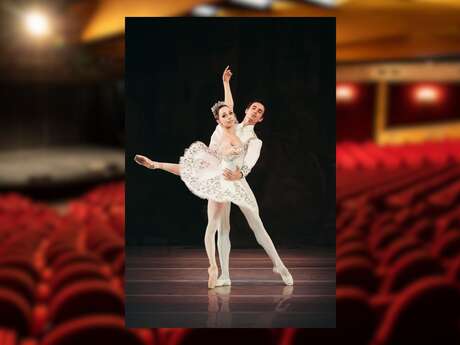 Danse : Grand ballet de Kiev - Les étoiles de la danse