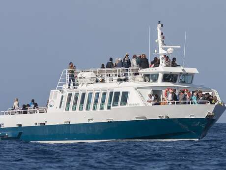 Pack escale à Porquerolles + croisière tour de l'île commentée - La Croix Du Sud