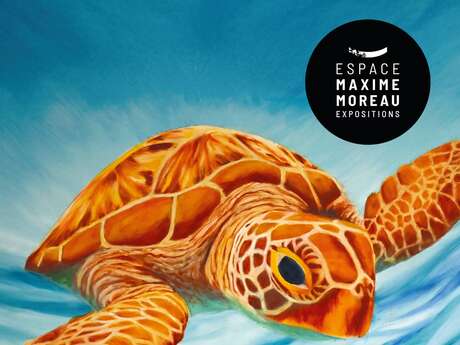 Exposition Philippe Leborne