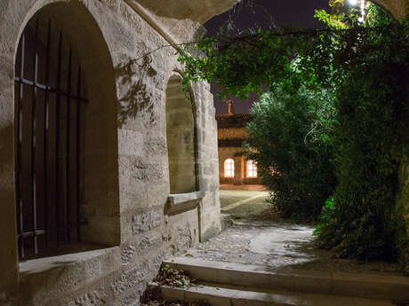 Nuit Internationale de la Chauve-souris