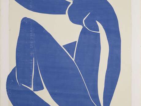 Retrospective of the exhibition - Matisse la couleur sans limite