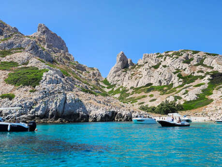 Sortie nature du Muséum : îles de Marseille