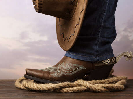 Apprendre la danse en ligne