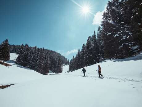 'Ü YeÜ Tsalé' Blue Trail / Rando Parc Morgins