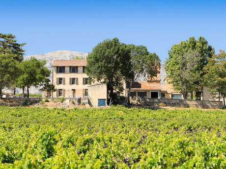 Domaine de l'Anticaille