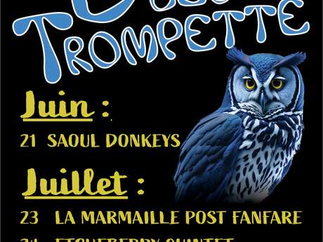 Fête de la musique - Festival Bleu Trompette