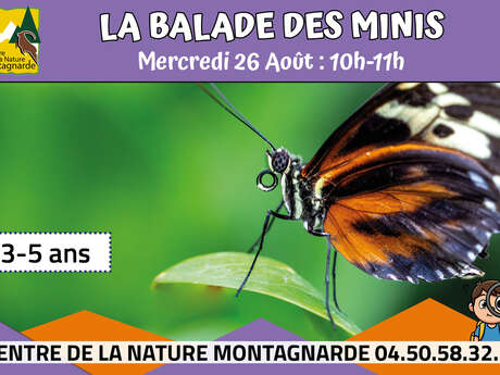 La balade des minis : Le mini papillon