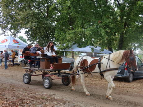 Exposición agrícola "Terres des Confluences