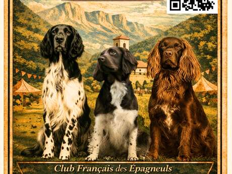 29ème nationale d'élevage du Club Français des Epagneuls de Münster  et du Langhaar - La Terrasse