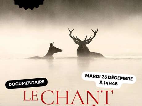 Ciné papote : Le chant des forêts