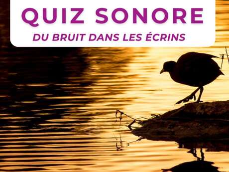 Animation quiz sonore : Du bruit dans les Ecrins