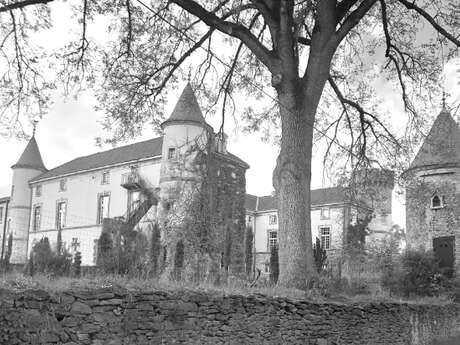 Entre mémoire et histoire, les internés du château de Mons (1939-1943)