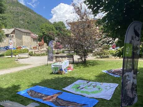 Atelier découverte des animaux emblématiques de nos montagnes