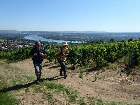 Les Rendez-vous de mon Parc "Sur les pas des pèlerins de Compostelle"