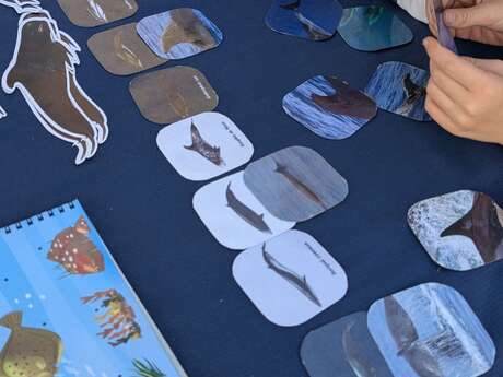 Fête de la nature : Workshops and activities led by the National Park’s eco-guides