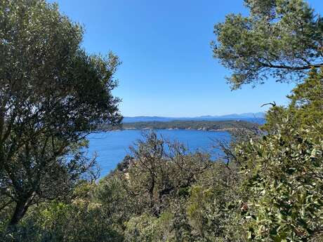 Port-Cros - Sentier des écrivains