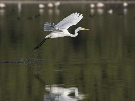 Exhibition: Biodiversity, a cross-disciplinary look at local fauna and flora