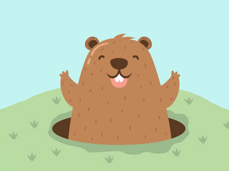 Marmotte Stories