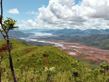 GRNC1 Stage n°4B :  from Ouénarou to the Tristaniopsis refuge (by the ridges)