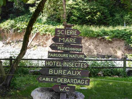 Ateliers nature : la forêt au printemps !